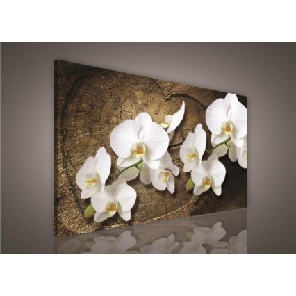 Obraz na plátně Orchidej 5 100 x 75 cm