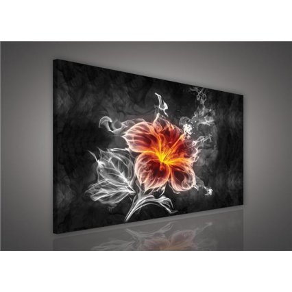 Obraz na plátně Dark flower 100 x 75 cm