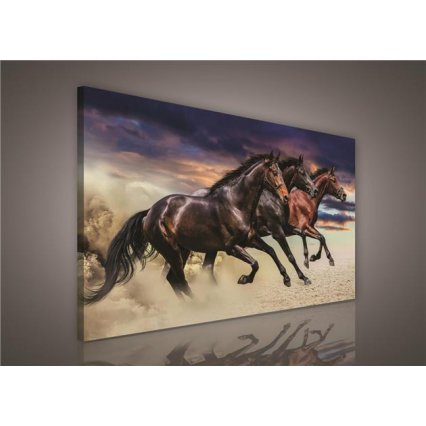 Obraz na plátně Cválající koně II 100 x 75 cm