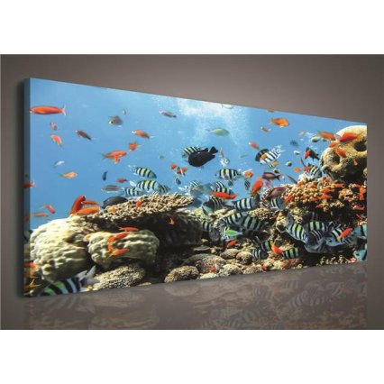 Obraz na plátně Podmořský svět 145 x 45 cm