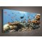 Obraz na plátně Podmořský svět 145 x 45 cm