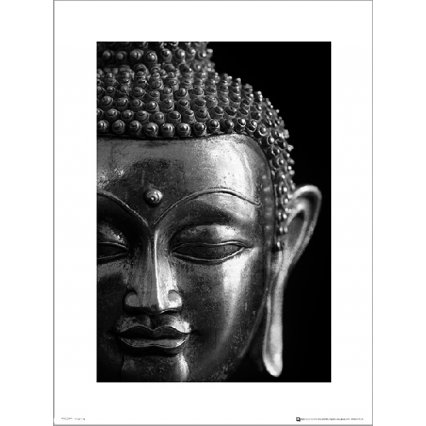 Reprodukce Buddha Silver Close Up