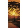 Fototapeta na dveře Africa Sunset