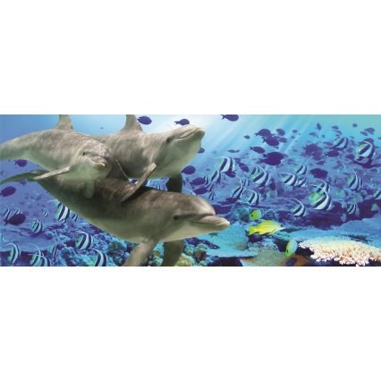 Fototapeta panoramatická vliesová Delfíni