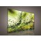 Obraz na plátně Zelené kapky 100 x 75 cm