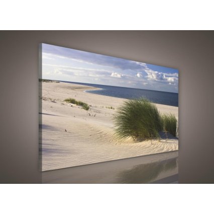 Obraz na plátně Sandy Beach 100 x 75 cm