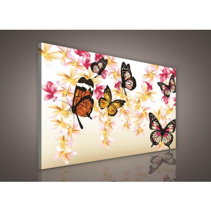 Obraz na plátně Motýl na větvích 100 x 75 cm