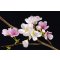 Fototapety na zeď Cherry Blossoms F627